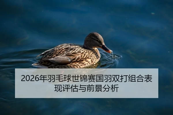 2026年羽毛球世锦赛国羽双打组合表现评估与前景分析
