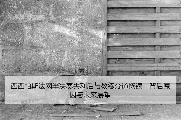 xi-xi-pa-si-fa-wang-ban-jue-sai-shi-li-hou-yu-jiao-lian-fen-dao-yang-biao-bei-hou-yuan-yin-yu-wei-lai-zhan-wang-2-964.jpg