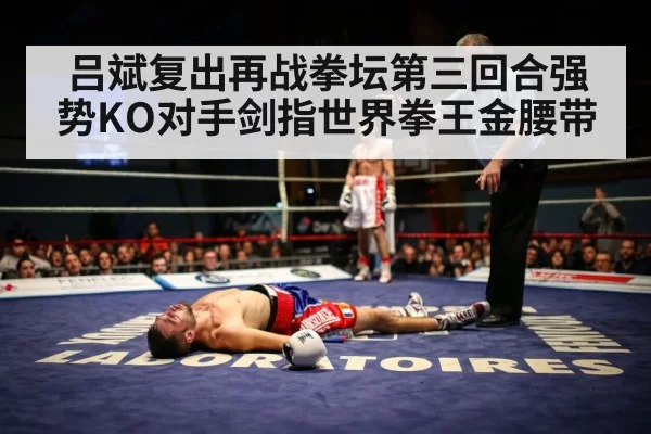 吕斌复出再战拳坛第三回合强势KO对手剑指世界拳王金腰带