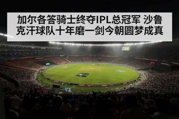 加尔各答骑士终夺IPL总冠军 沙鲁克汗球队十年磨一剑今朝圆梦成真