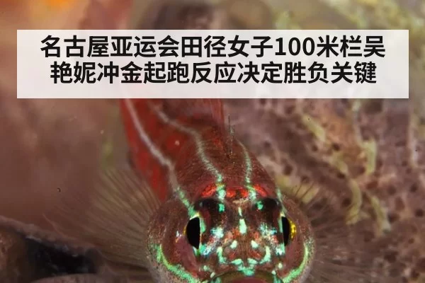 名古屋亚运会田径女子100米栏吴艳妮冲金起跑反应决定胜负关键