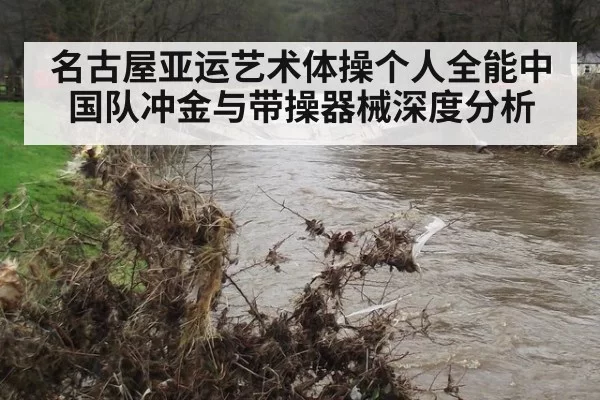 名古屋亚运艺术体操个人全能中国队冲金与带操器械深度分析
