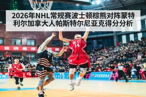 2026年NHL常规赛波士顿棕熊对阵蒙特利尔加拿大人帕斯特尔尼亚克得分分析